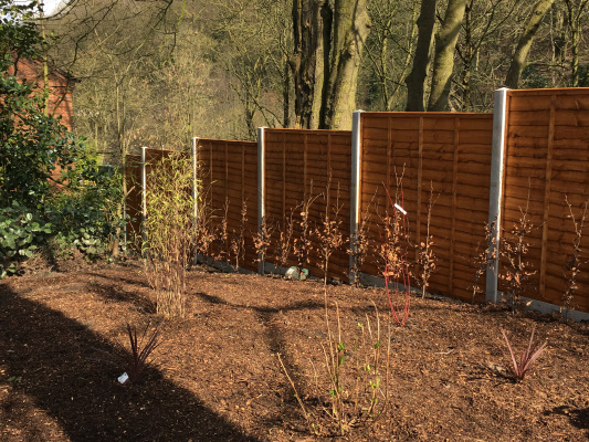 image of a fence with Concrete Pillars