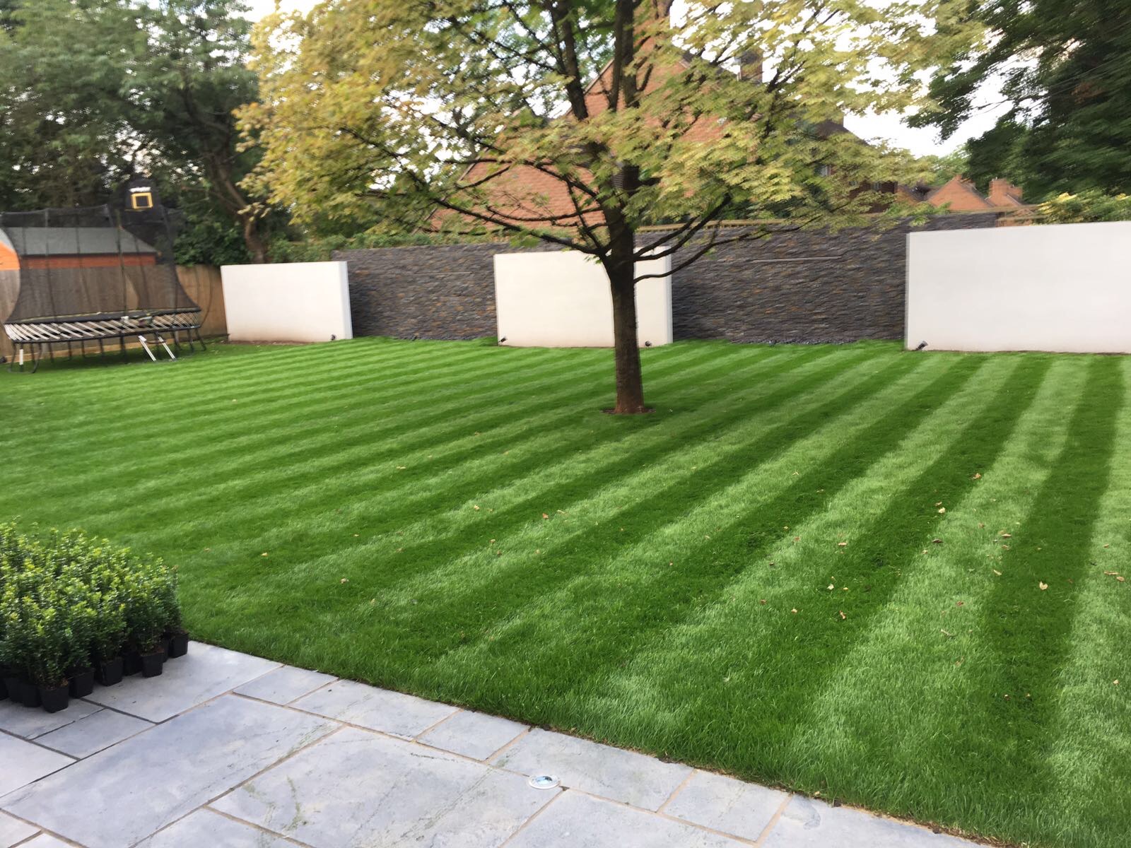 Traditional cut lawn with classic alternate lines